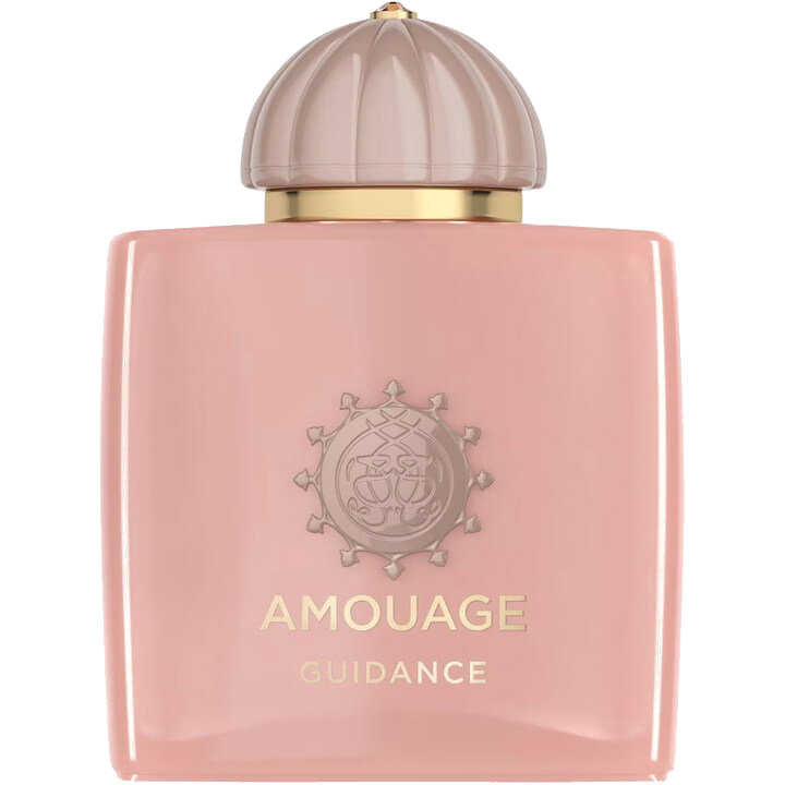 Amouage Guidance 46 Extrait De Parfum